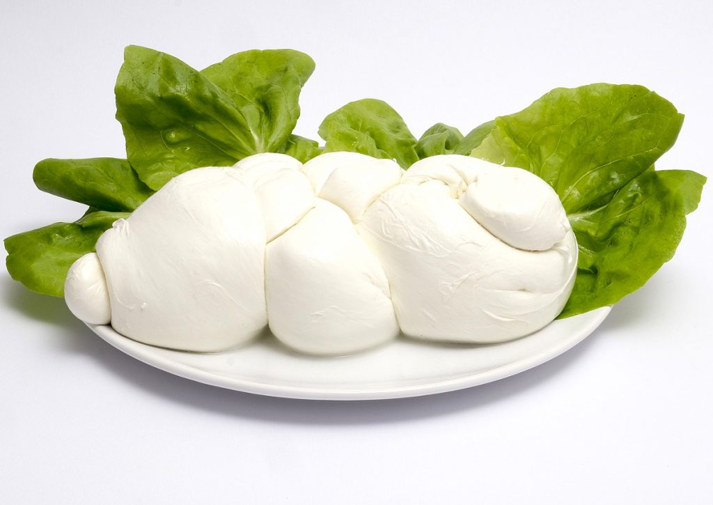 Homemade Mozzarella for Pizza